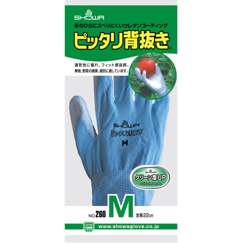エスコパッケージ画像