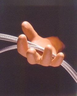 使用写真