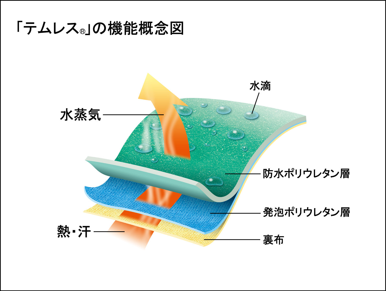 サブ画像