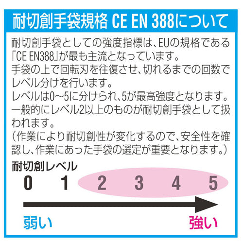 サブ画像