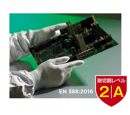 使用写真