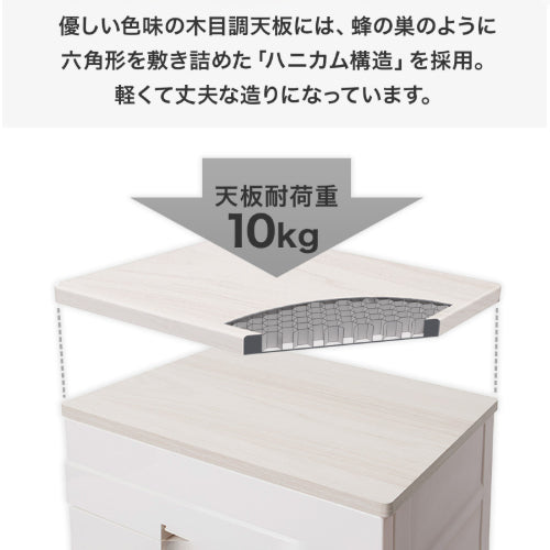 ESCO(エスコ) 750×410×850mm 引出し式収納ケース(4段) EA506MA-33
