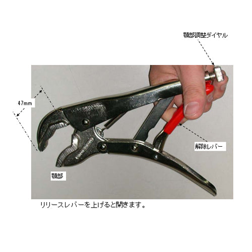 サブ画像