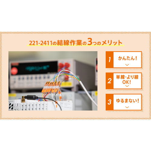 WAGO(ワゴ) インラインスプライシング(2極/6個) 221-2411