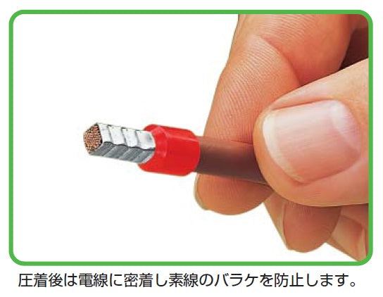 使用写真