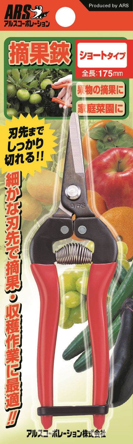 エスコパッケージ画像