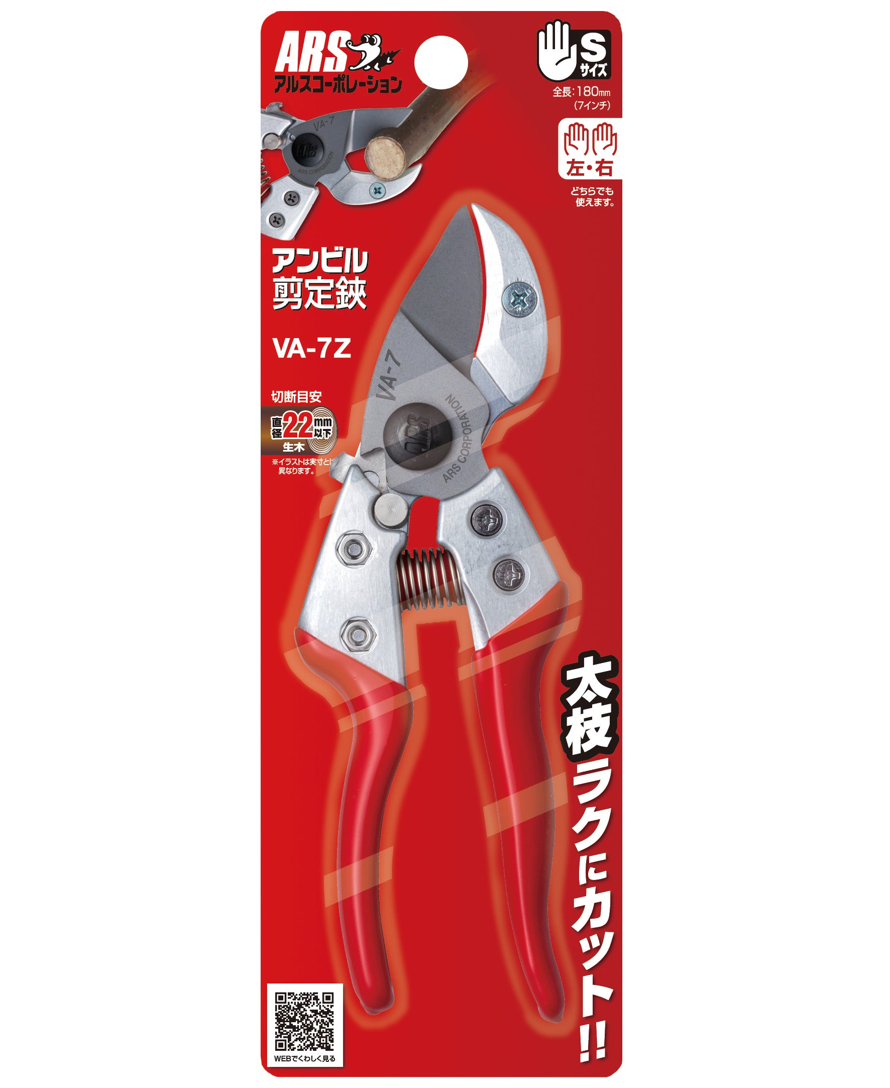 エスコパッケージ画像