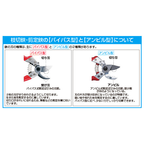 サブ画像
