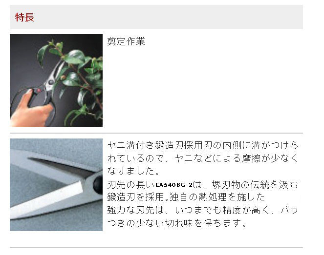 サブ画像