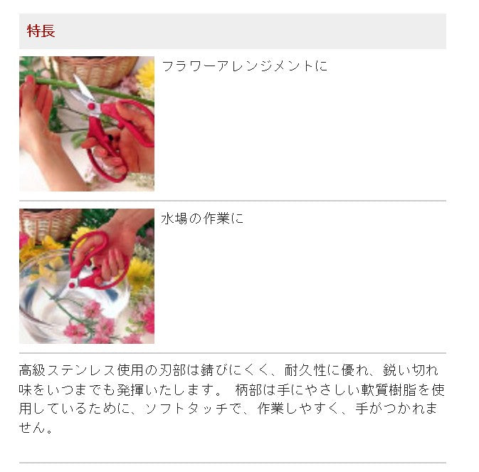 サブ画像