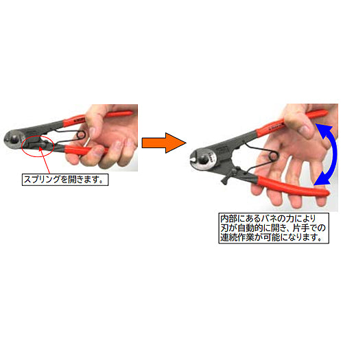 サブ画像