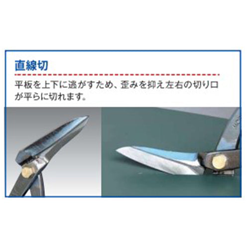 使用写真