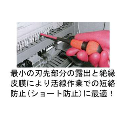 使用写真