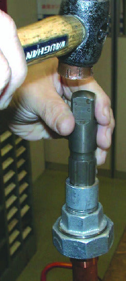 使用写真