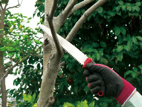 使用写真