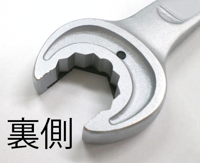 拡大画像