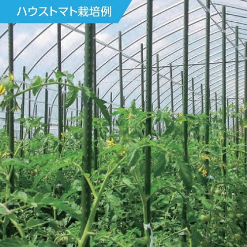 ESCO(エスコ) φ26x4000mm 超ロング支柱(イボ付/10本) EA628ZZ-112