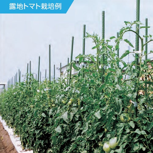 ESCO(エスコ) φ26x4000mm 超ロング支柱(イボ付/10本) EA628ZZ-112