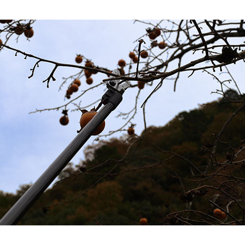 アルスコーポレーション(ARS) 1.2m 高枝鋏(軽量・採取型) 160PCC-1.2D