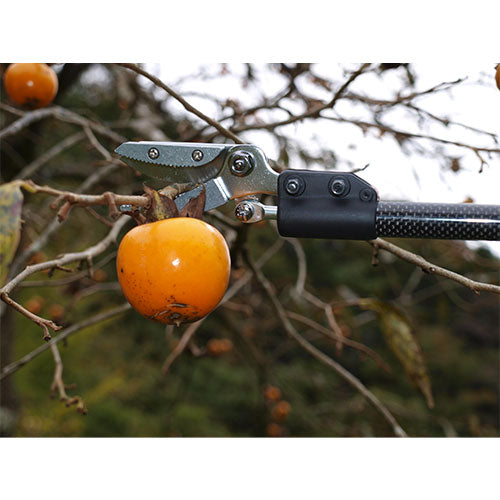 アルスコーポレーション(ARS) 1.2m 高枝鋏(軽量・採取型) 160PCC-1.2D