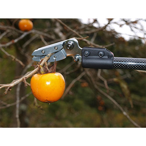 アルスコーポレーション(ARS) 1.8m 高枝鋏(軽量・採取型) 160PCC-1.8D