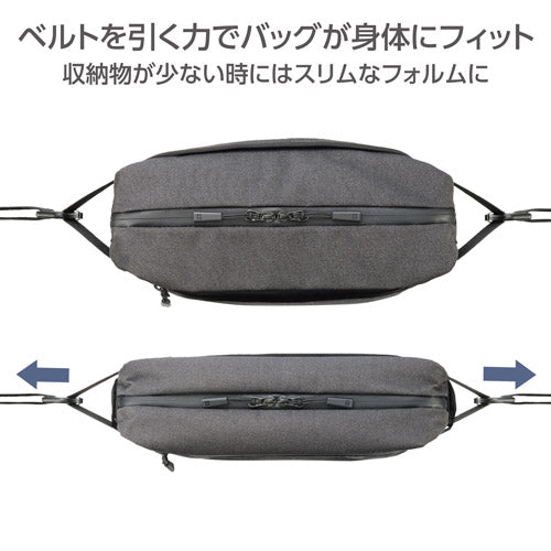 ハクバ写真産業(HAKUBA) 300x110x200mm カメラバッグ SP-CT05SL4BK