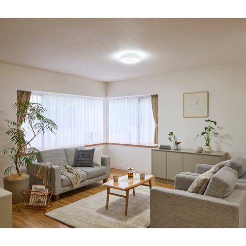 アイリスオーヤマ(IRIS OHYAMA) φ393x85mm シーリングライト(12畳用) CEA12DL-5.0Q