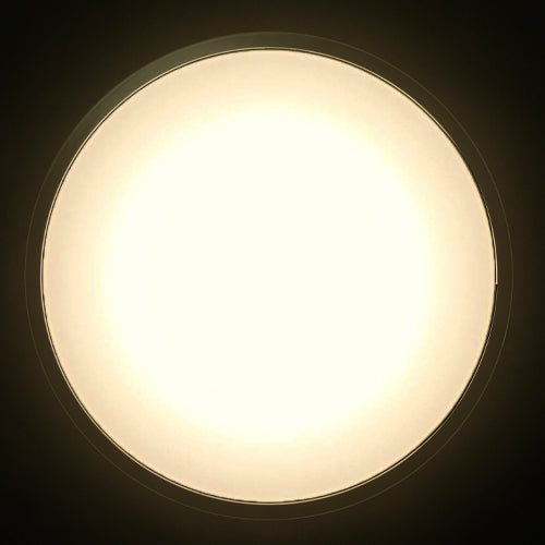 アイリスオーヤマ(IRIS OHYAMA) φ580x120mm LEDシーリングライト(音声操作/6畳用) CL6DL-5.11CFV