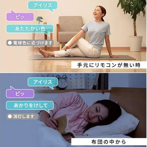 アイリスオーヤマ(IRIS OHYAMA) φ580x120mm LEDシーリングライト(音声操作/6畳用) CL6DL-5.11CFV