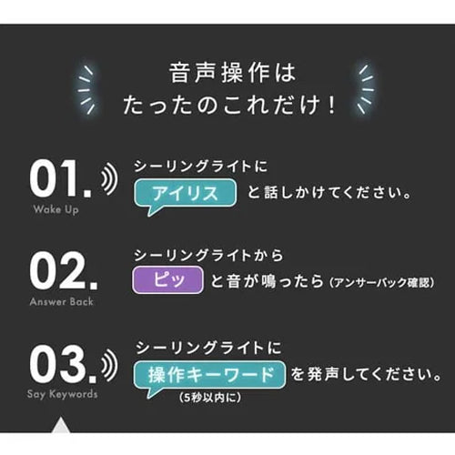 アイリスオーヤマ(IRIS OHYAMA) φ580x120mm LEDシーリングライト(音声操作/6畳用) CL6DL-5.11CFV