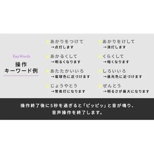 アイリスオーヤマ(IRIS OHYAMA) φ580x120mm LEDシーリングライト(音声操作/6畳用) CL6DL-5.11CFV