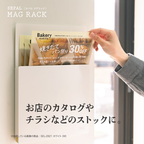 セキセイ(sedia) 242x 24x335mm 収納ボックス(マグネット付/ホワイト) SEL-2820-70