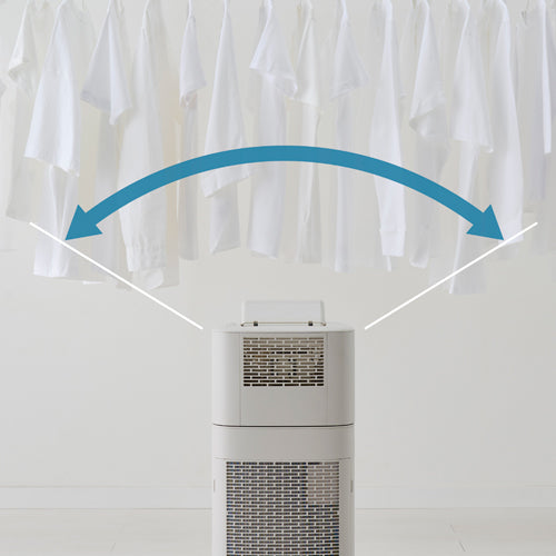 アイリスオーヤマ(IRIS OHYAMA) AC100V/590W 衣類乾燥除湿機 IJDC-P60-C