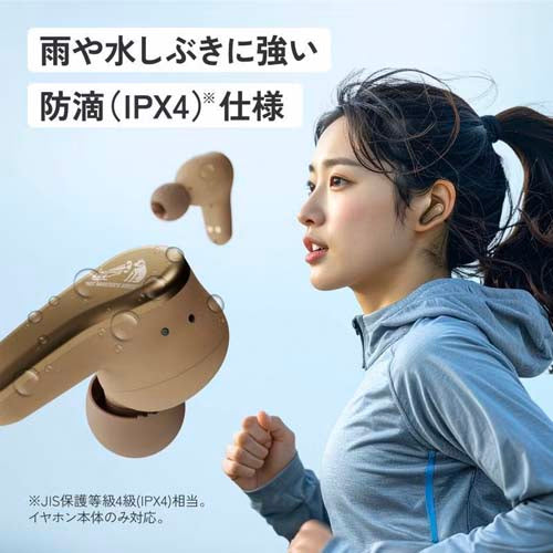 JVCケンウッド ワイヤレスイヤホン(カナル型) HA-A110T-B