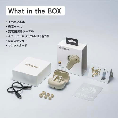 JVCケンウッド ワイヤレスイヤホン(カナル型) HA-A110T-B