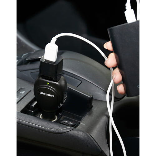 ESCO(エスコ) AC100Vシガーチャージャー EA764A-75