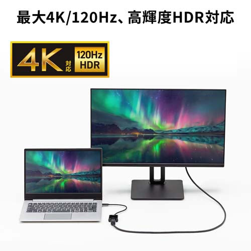 サンワサプライ 変換アダプター(USB TypeC-Display Port) AD-ALCDP02