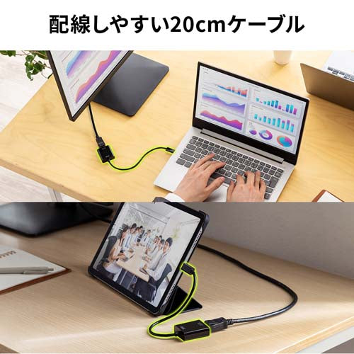 サンワサプライ 変換アダプター(USB TypeC-Display Port) AD-ALCDP02