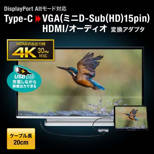 サンワサプライ 変換アダプター(USB TypeC-HDMI・他) AD-ALCHV02