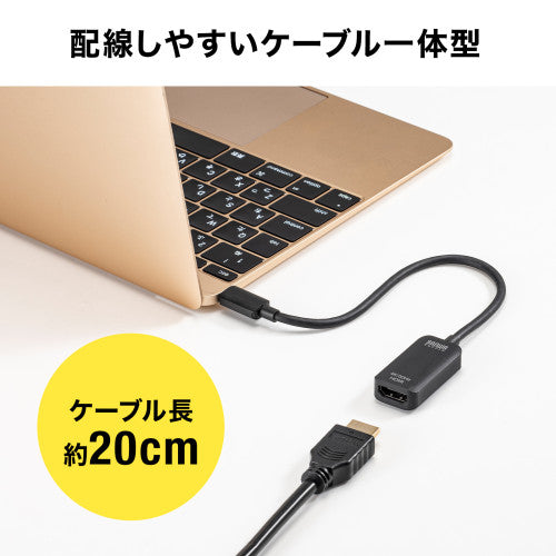 サンワサプライ USB変換アダプター(TypeC-HDMI/DPAlt対応) AD-ALCHD02