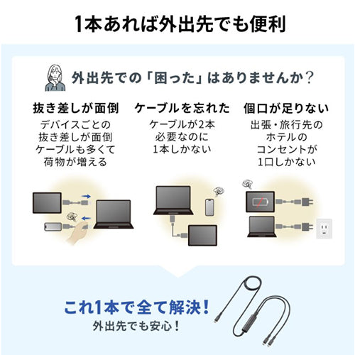 サンワサプライ 1.2m USBケーブル(C-CC/2.0/PD100W対応) KU-CCP100D12BK