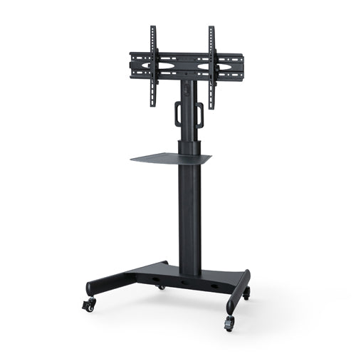 アイリスオーヤマ(IRIS OHYAMA) 55V型ディスプレイ+スタンドセット ディスプレイ:DO-DU554S-B