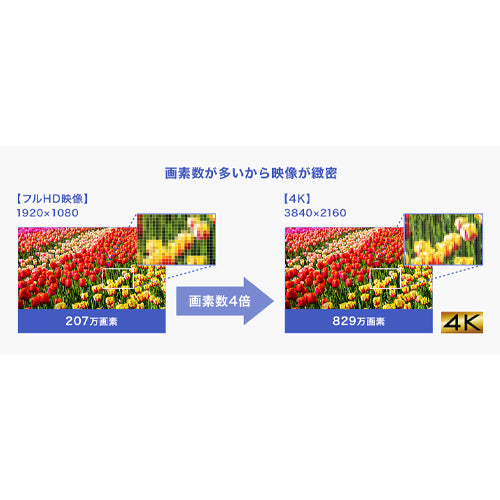 ESCO(エスコ) 27インチ 液晶ディスプレイ(ピボット型/Type-C搭載) EA764AG-603