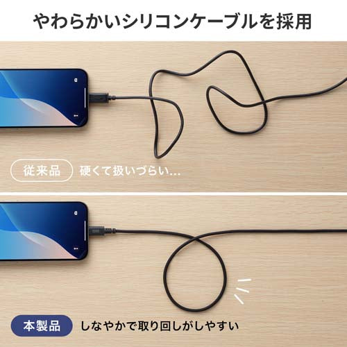 サンワサプライ 1.0m USBケーブル(C-C/A)(黒) KU-CCP60ACC10BK