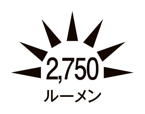 ハタヤリミテッド(HATAYA) AC100V/50W 作業灯/LED(屋内外兼用、コード5m) LWA-50KN