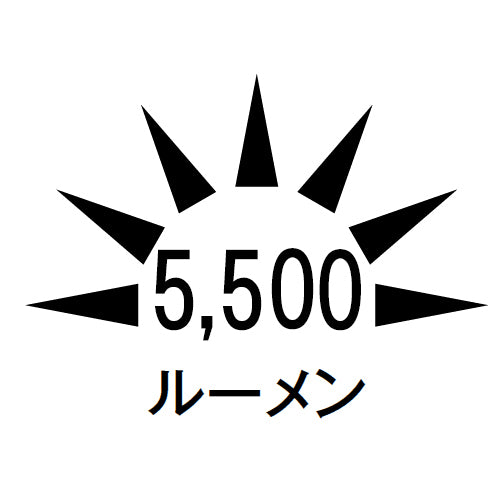 ハタヤリミテッド(HATAYA) AC100V/ 50W/DC9.6V LED作業灯(充電式) LWA-50KHB