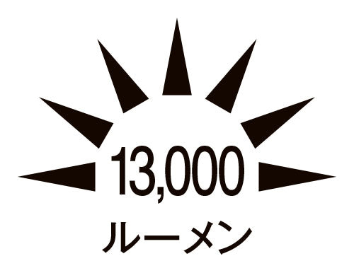 日動工業 AC100V/117W/10m LEDチューブライト(両面/連結型) LECN-R10LA-W