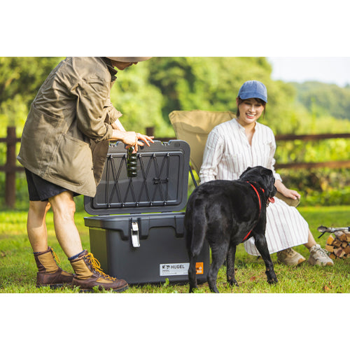 アイリスオーヤマ(IRIS OHYAMA) 551x348x342mm/20L クーラーボックス(グレー) VITC-20