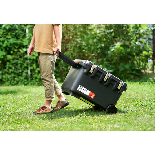 アイリスオーヤマ(IRIS OHYAMA) 731x460x454mm/60L クーラーボックス(グレー) VITC-60