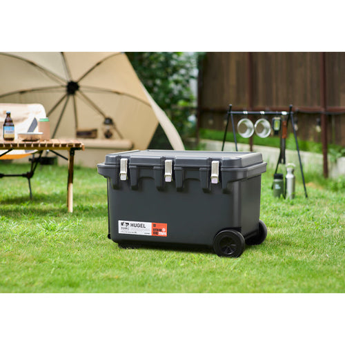 アイリスオーヤマ(IRIS OHYAMA) 731x460x454mm/60L クーラーボックス(グレー) VITC-60